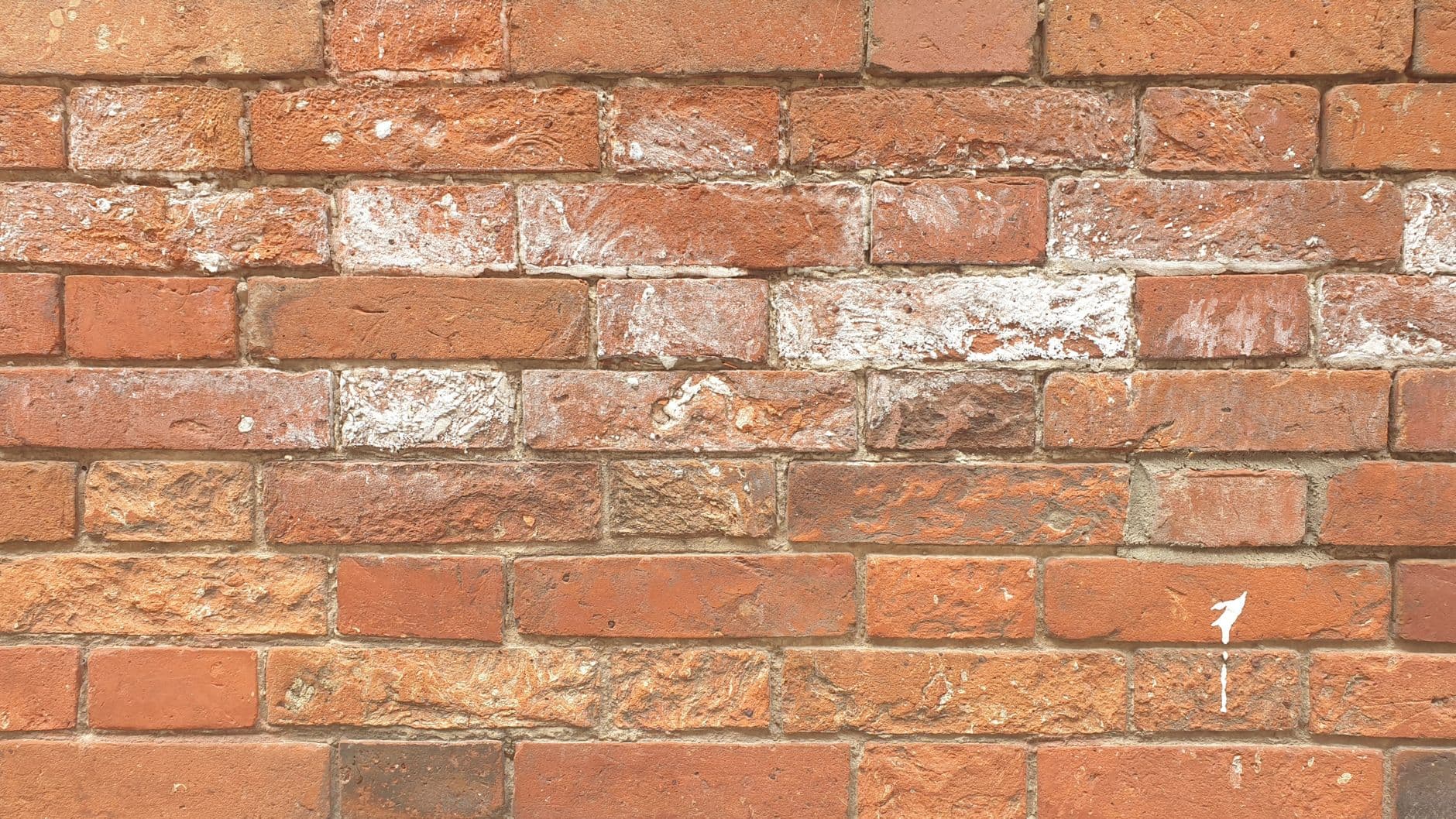 Bakstenen muur met witte uitbloeiing op de stenen