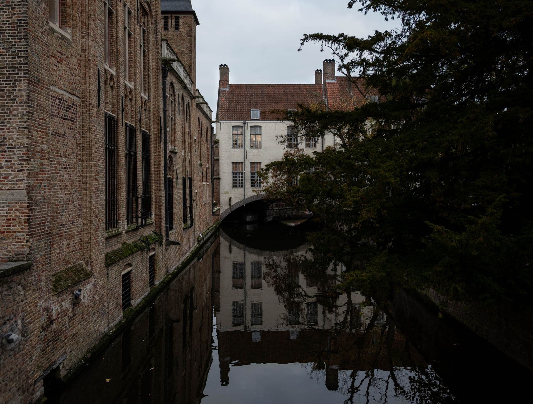 Smal reitje langs bakstenen gevels in Brugge