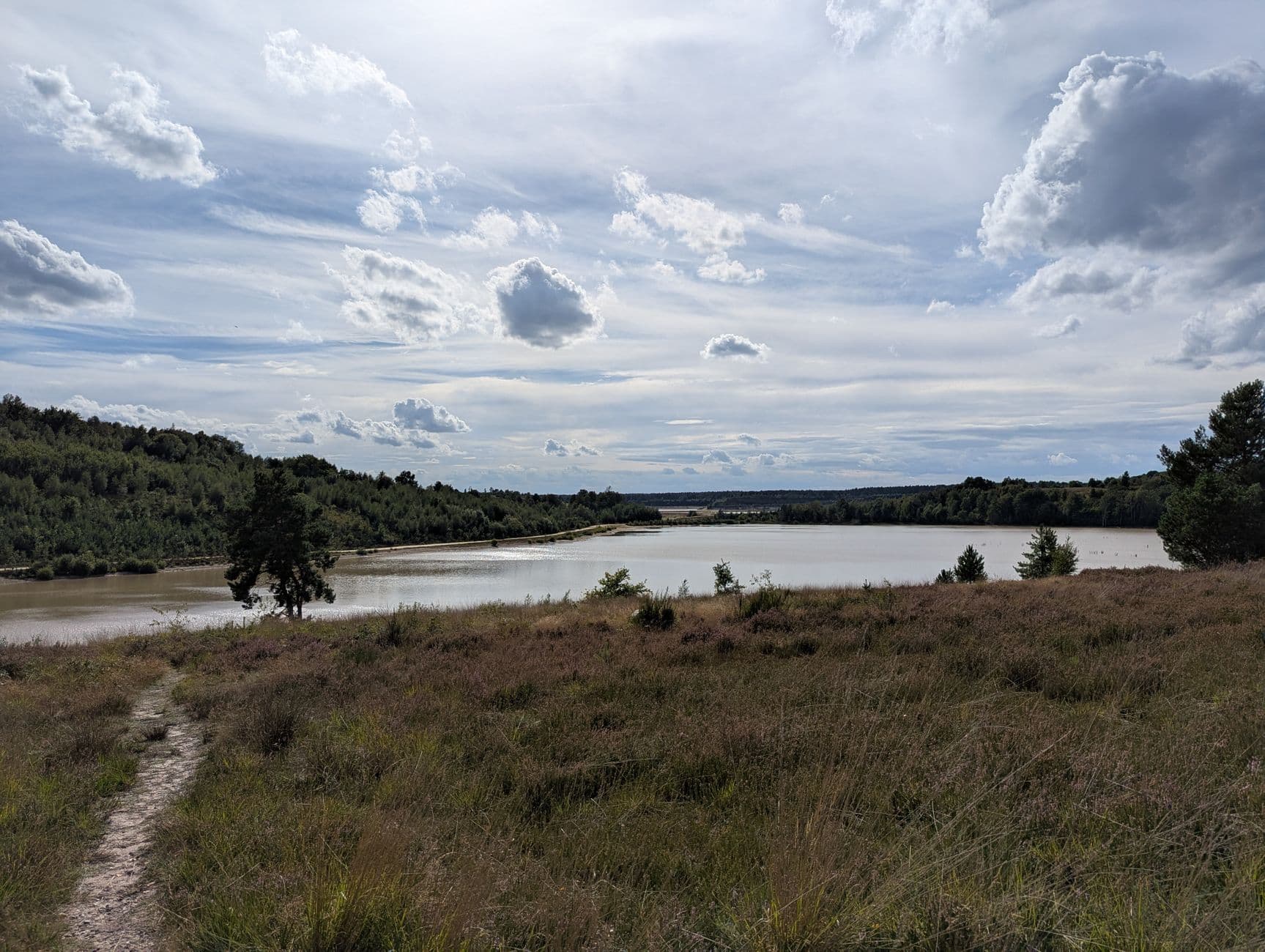 Meer en heide onder een bewolkte lucht in Maasmechelen