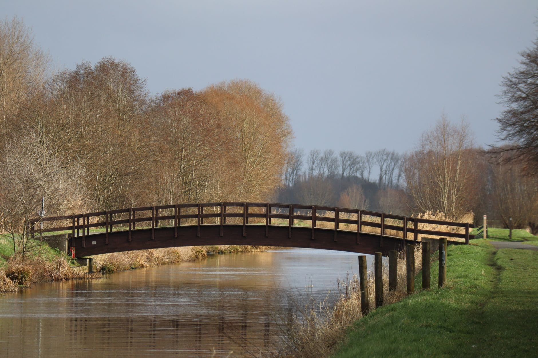 Houten brug over een beek tussen de bomen