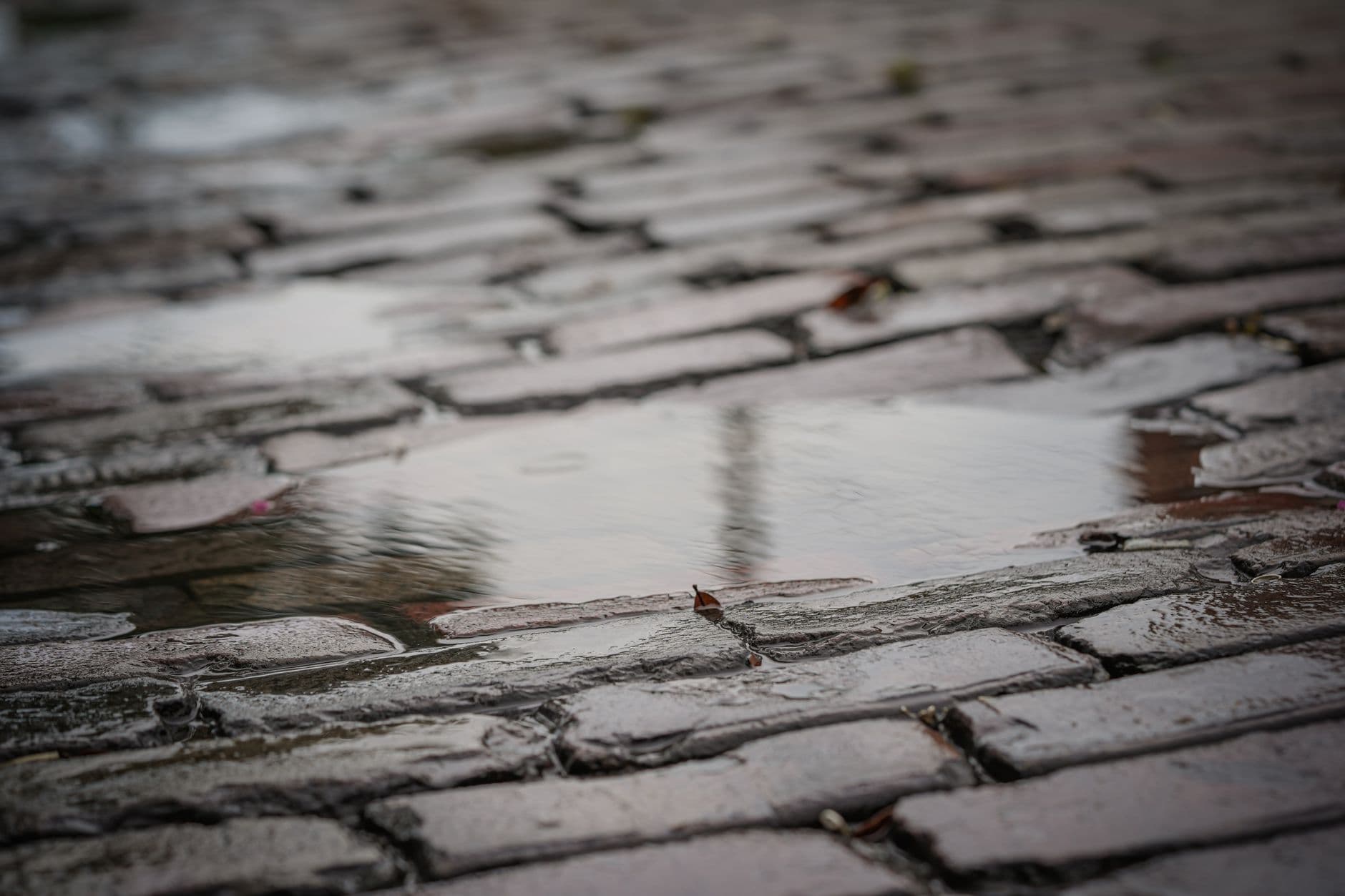 Natte straatstenen met een plas na regen