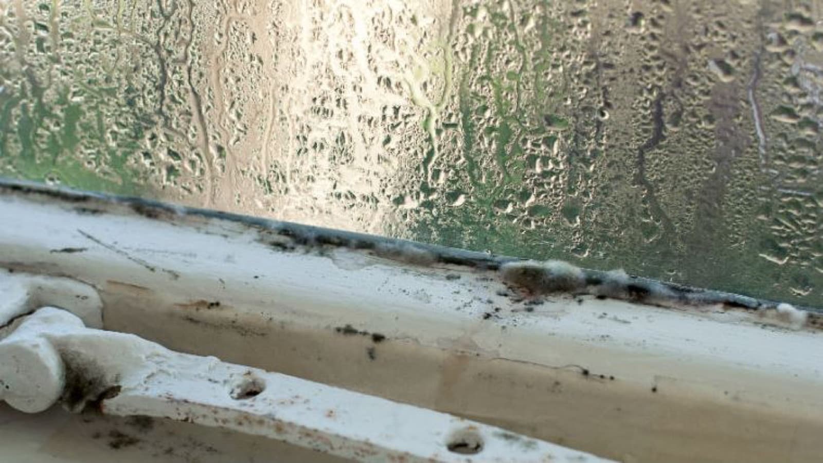 Vochtbestrijding: ventilatiesysteem nodig dit zijn de beste ventilatiesystemen