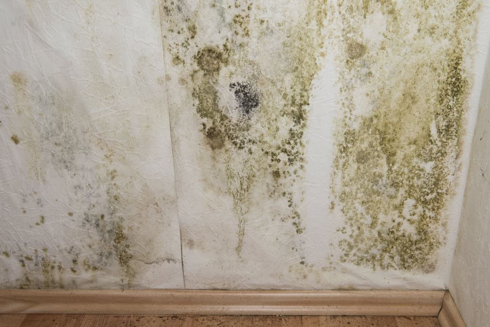 Vochtbestrijding: behangen op een vochtige muur