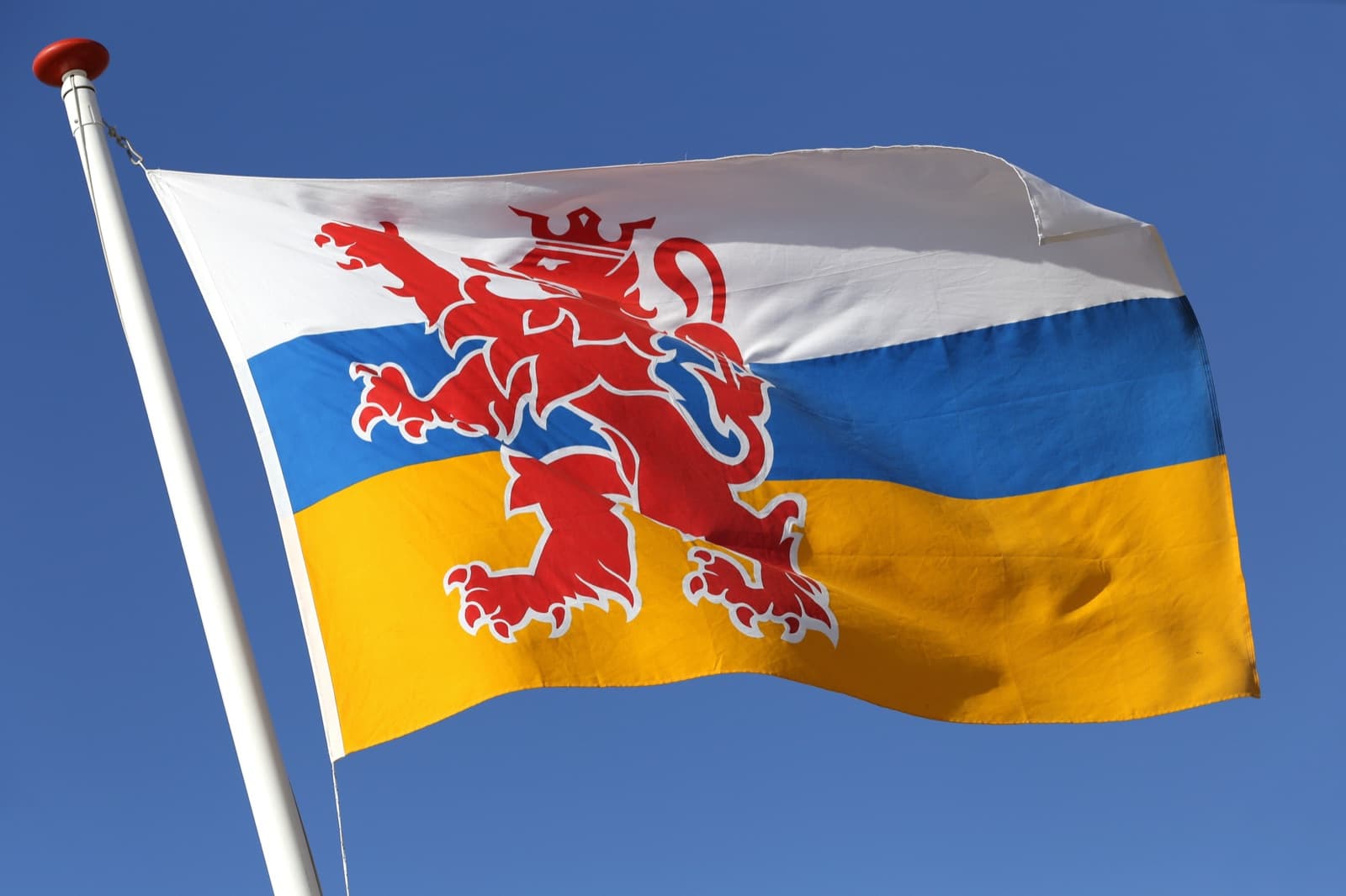 Vochtbestrijding: limburg