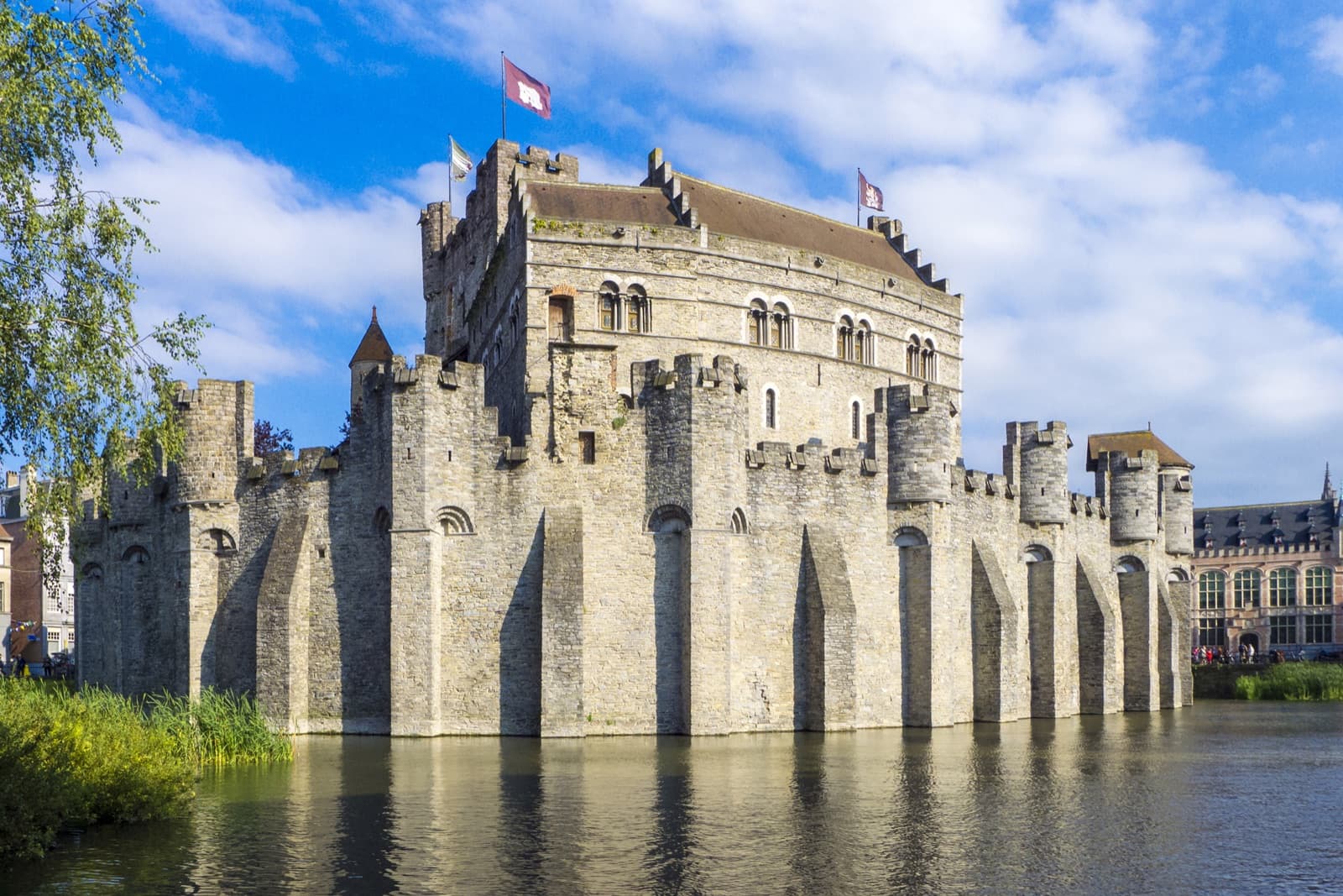 Vochtbestrijding: aalst
