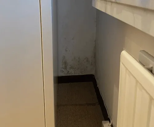 Opstijgend vocht met schimmelvorming onderaan een muur